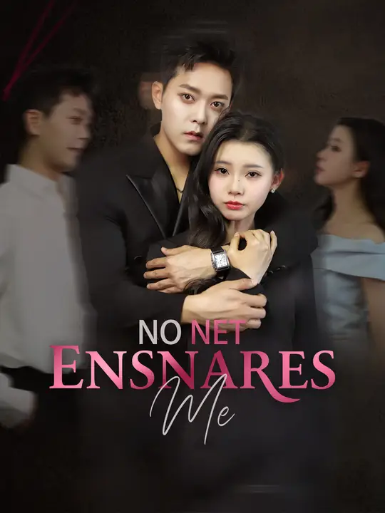 No Net Ensnares Me No Net Ensnares Me Chinese drama poster - NetShort