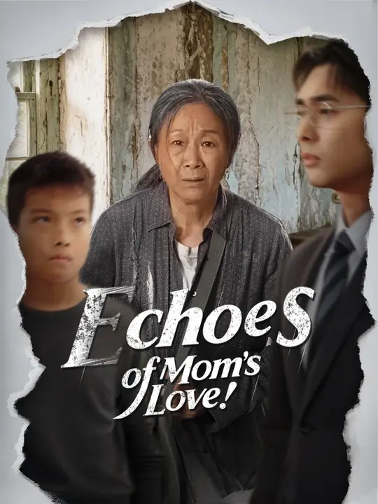 Echoes of Mom's Love Echoes of Mom's Love Chinese drama poster - NetShort