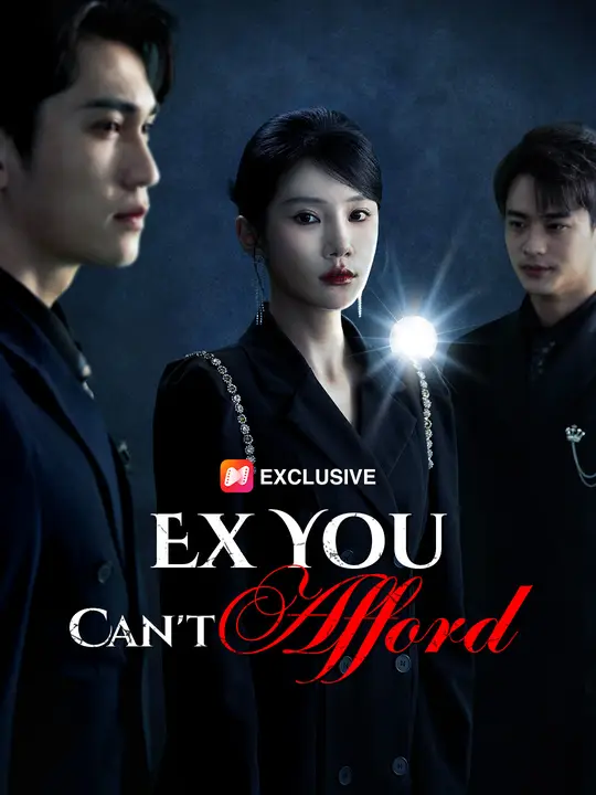 Ex You Can't Afford Ex You Can't Afford Chinese drama poster - NetShort